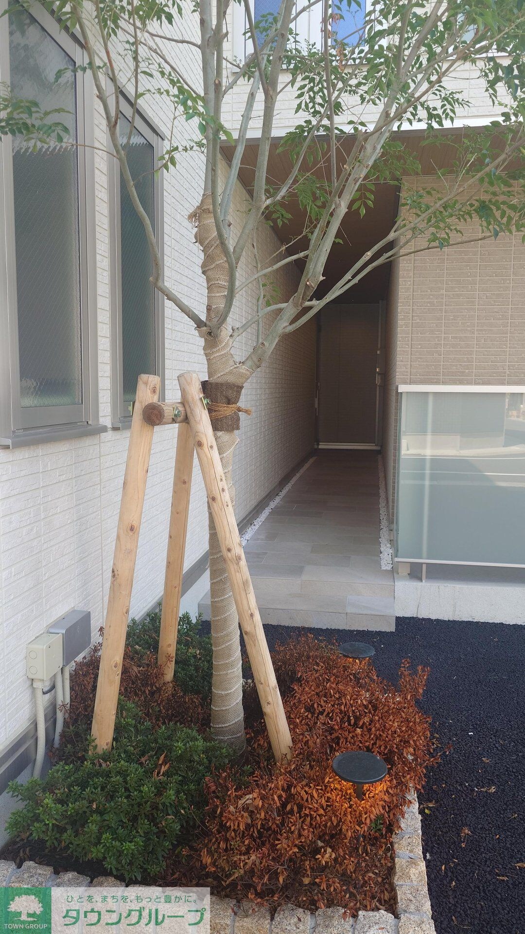 セレスティア六町IIの物件内観写真