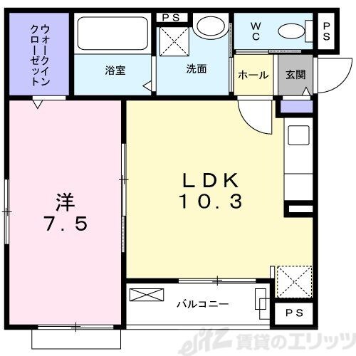 グレイスの物件間取画像