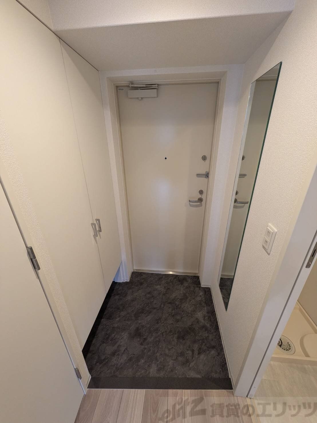 セレニテ江坂エクラの物件内観写真