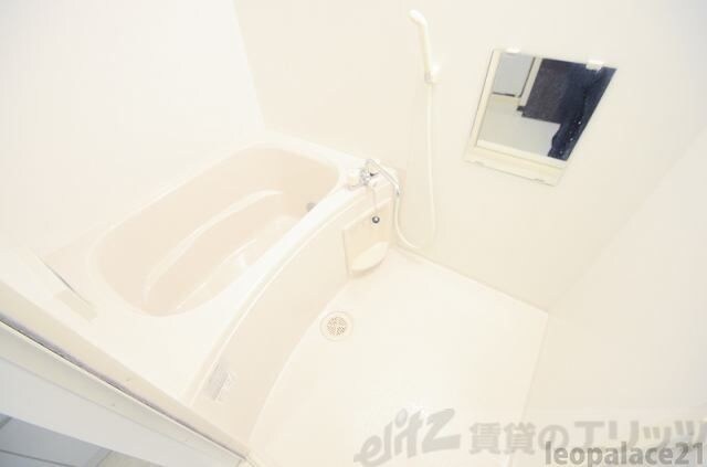 レオネクストドエルコンフォートの物件内観写真