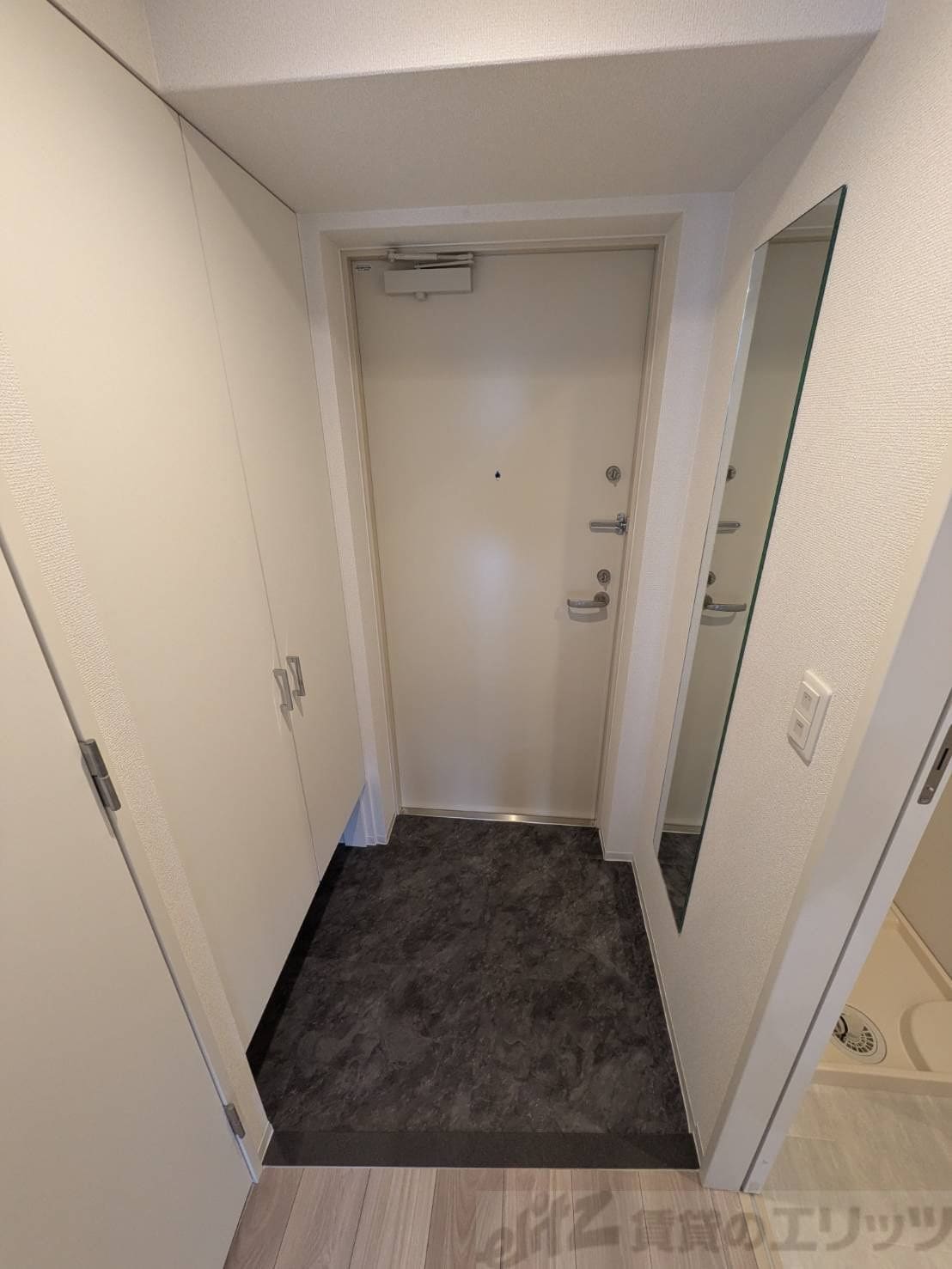 セレニテ江坂エクラの物件内観写真