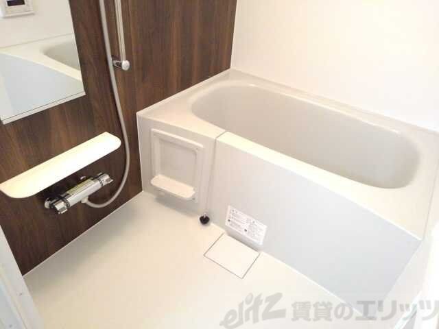 パインルーツIIIの物件内観写真