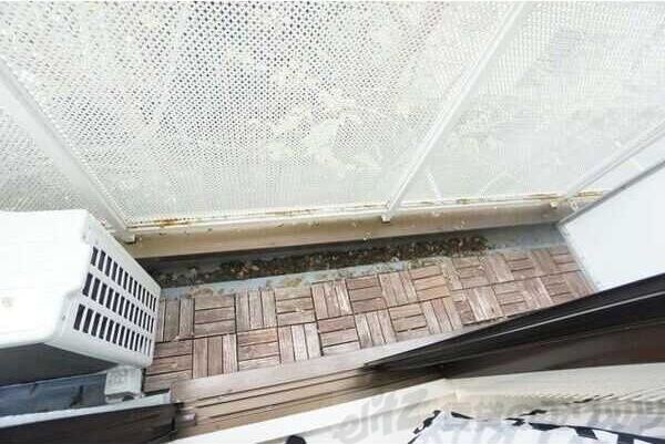 レリーサ真上の物件内観写真