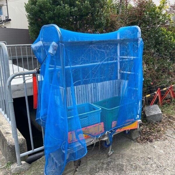 MINORUハイツの物件内観写真