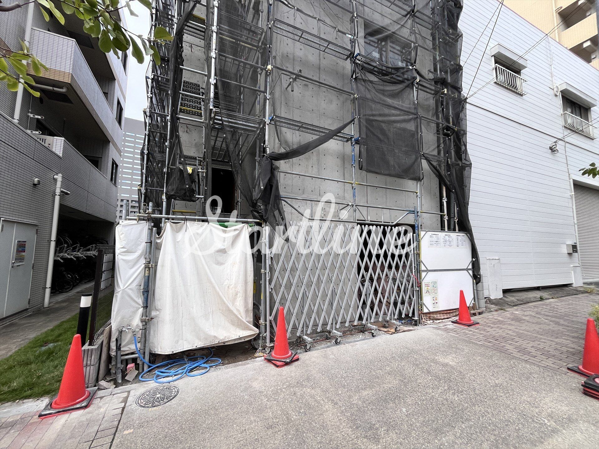 クリオラモード水天宮前の物件内観写真