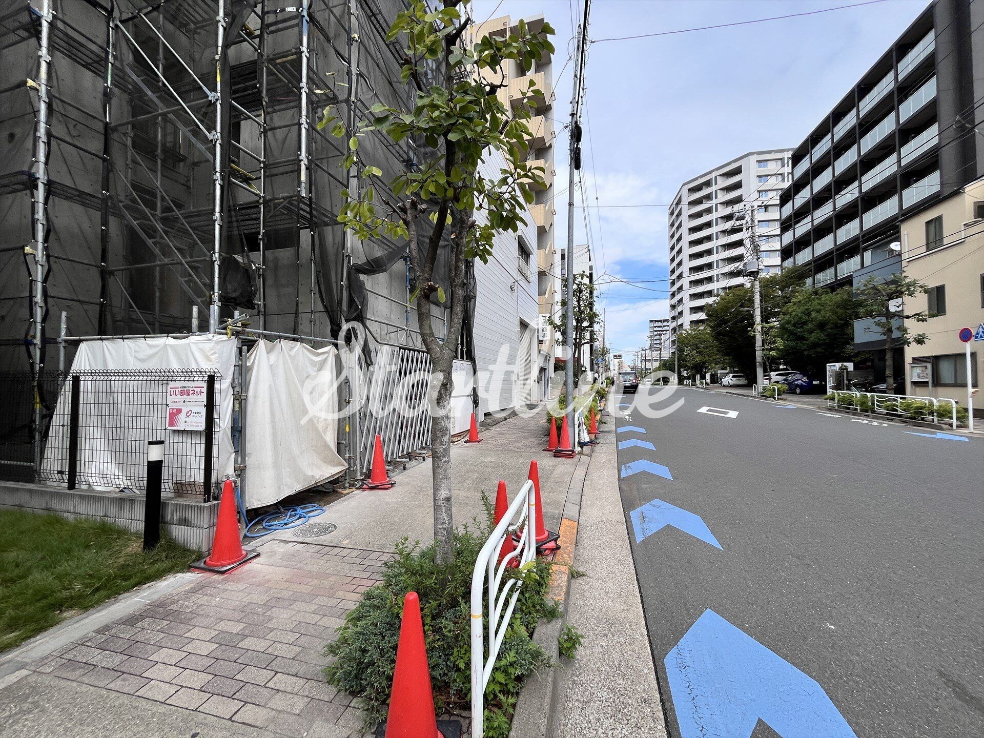 クリオラモード水天宮前の物件内観写真