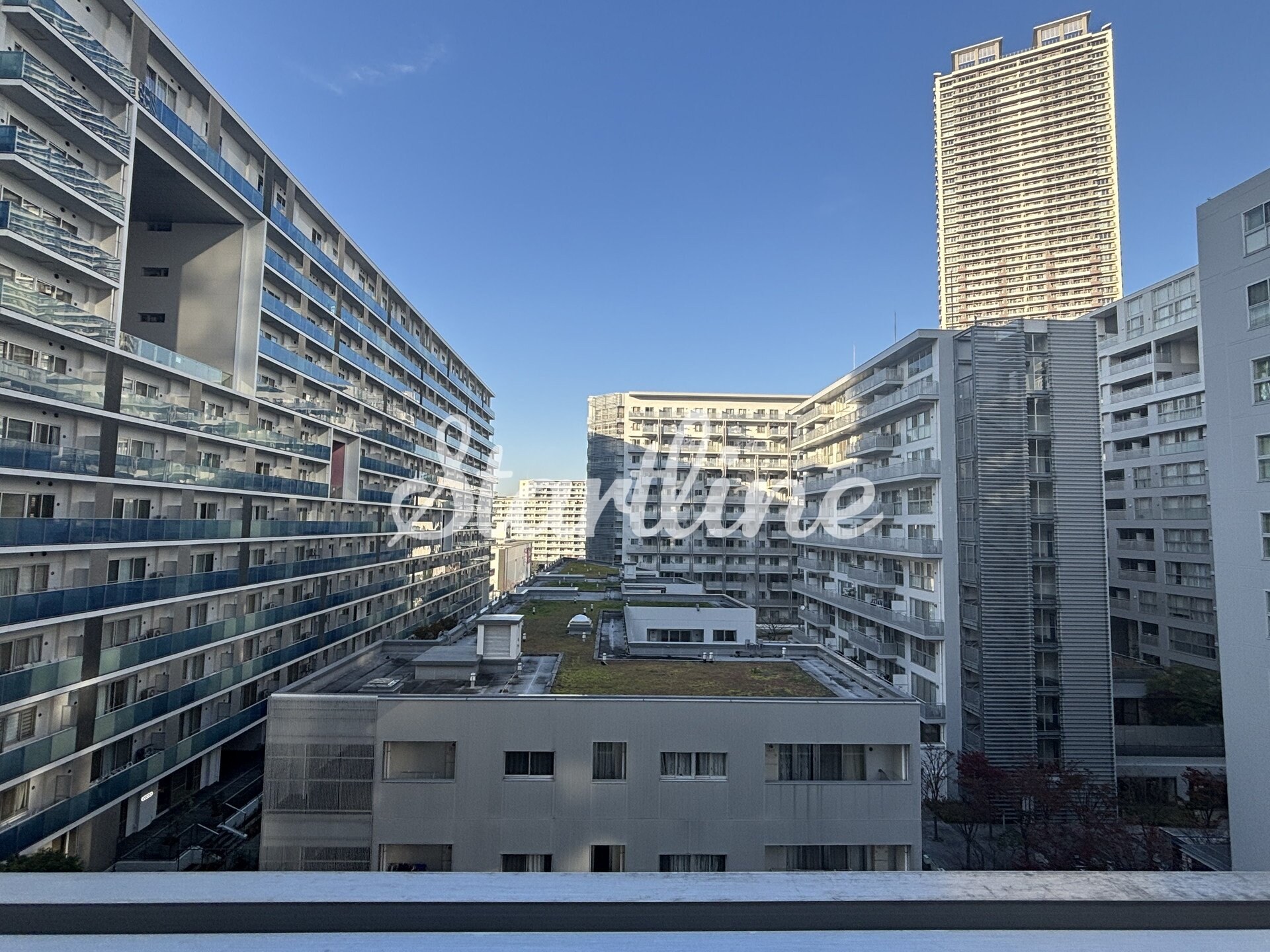 東雲キャナルコートCODAN17号棟の物件内観写真