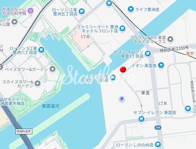 リッジ豊洲の物件内観写真