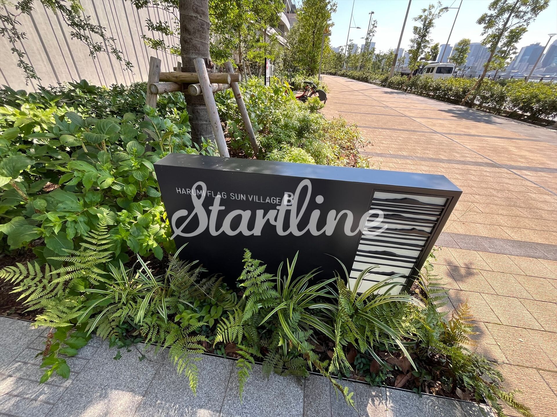 晴海フラッグ サンビレッジ B棟(HARUMI FLAG)の物件内観写真