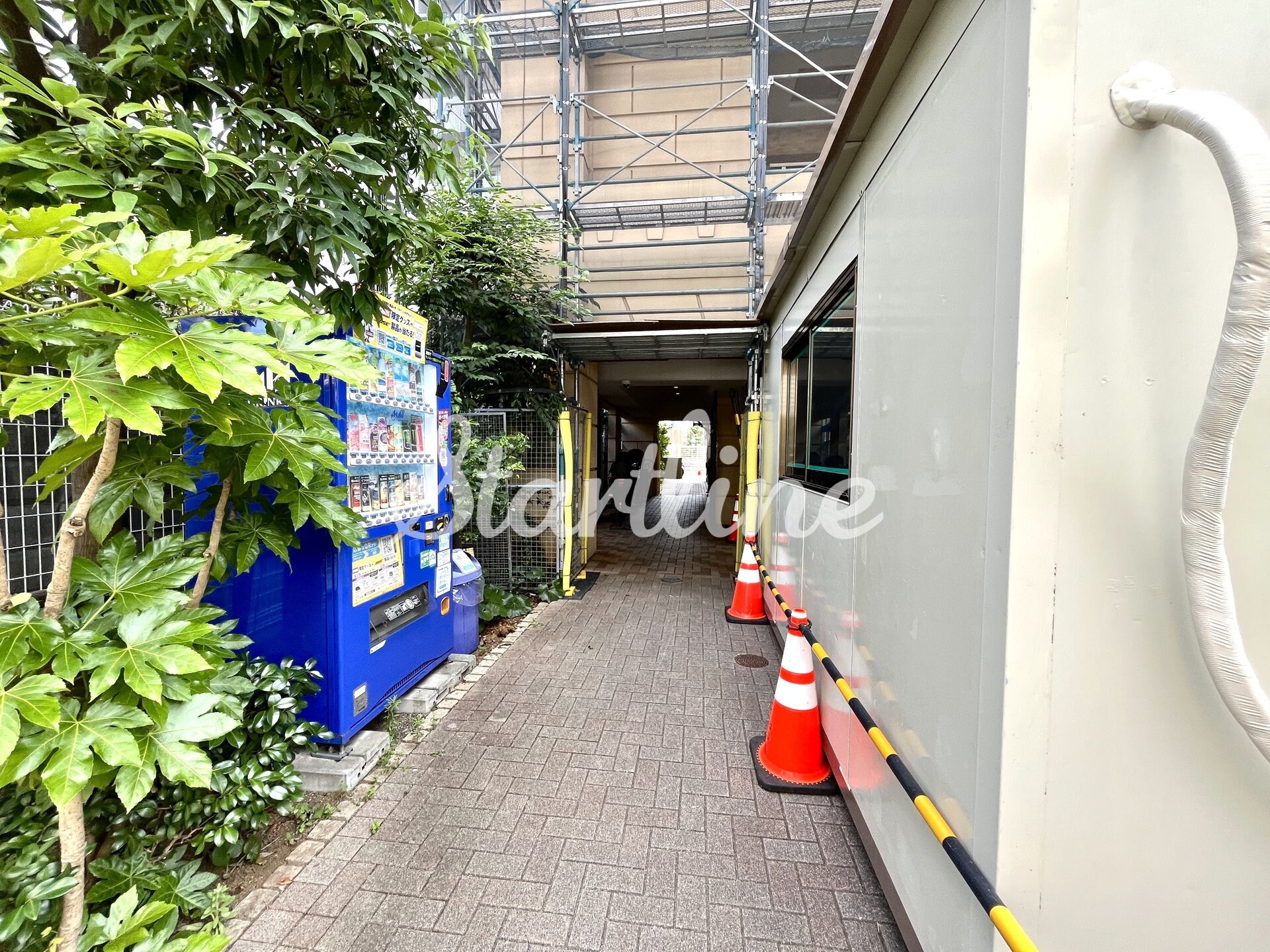 KDXレジデンス錦糸町の物件内観写真