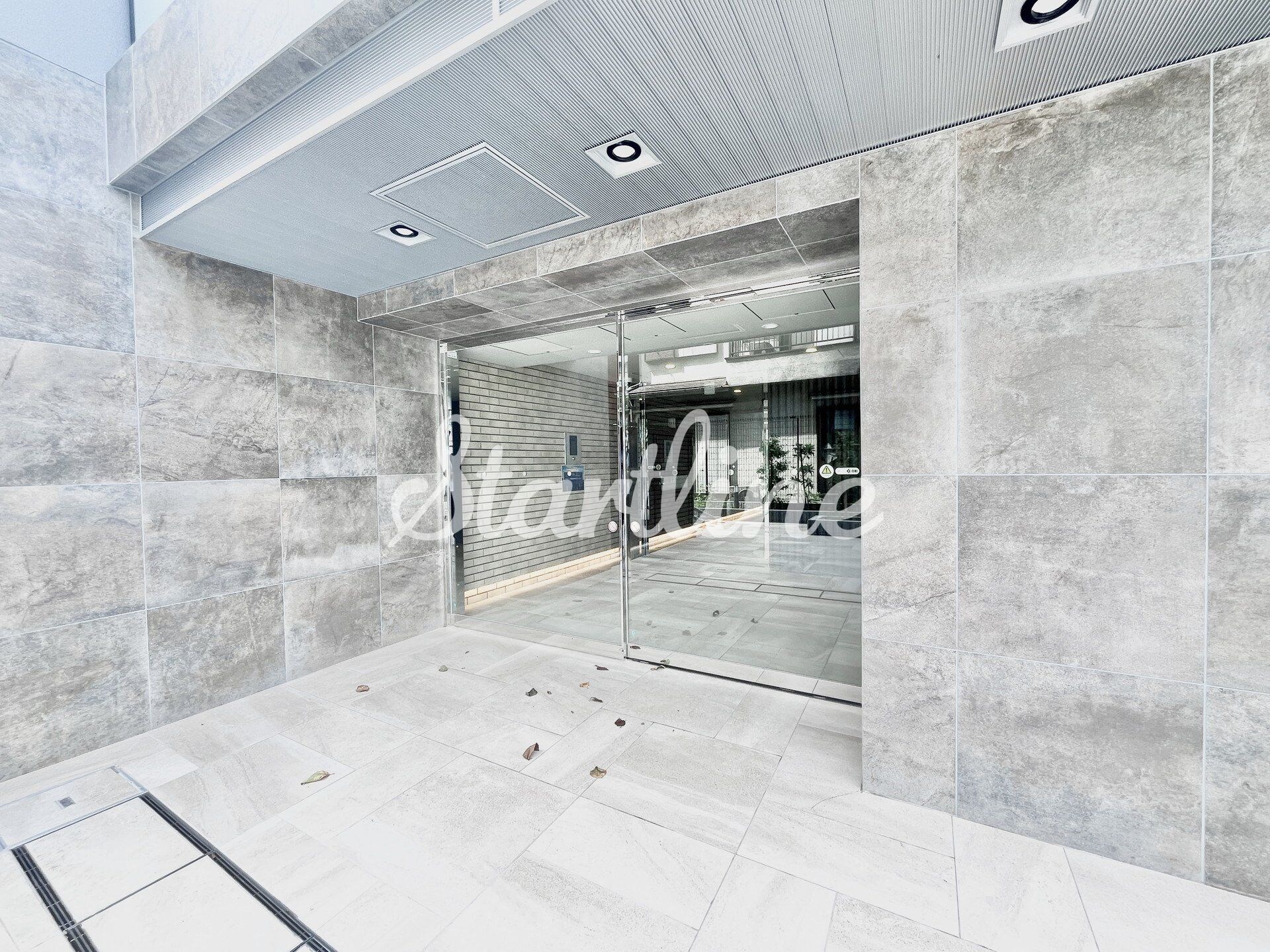 ベルシード板橋本町プレミアIIの物件内観写真