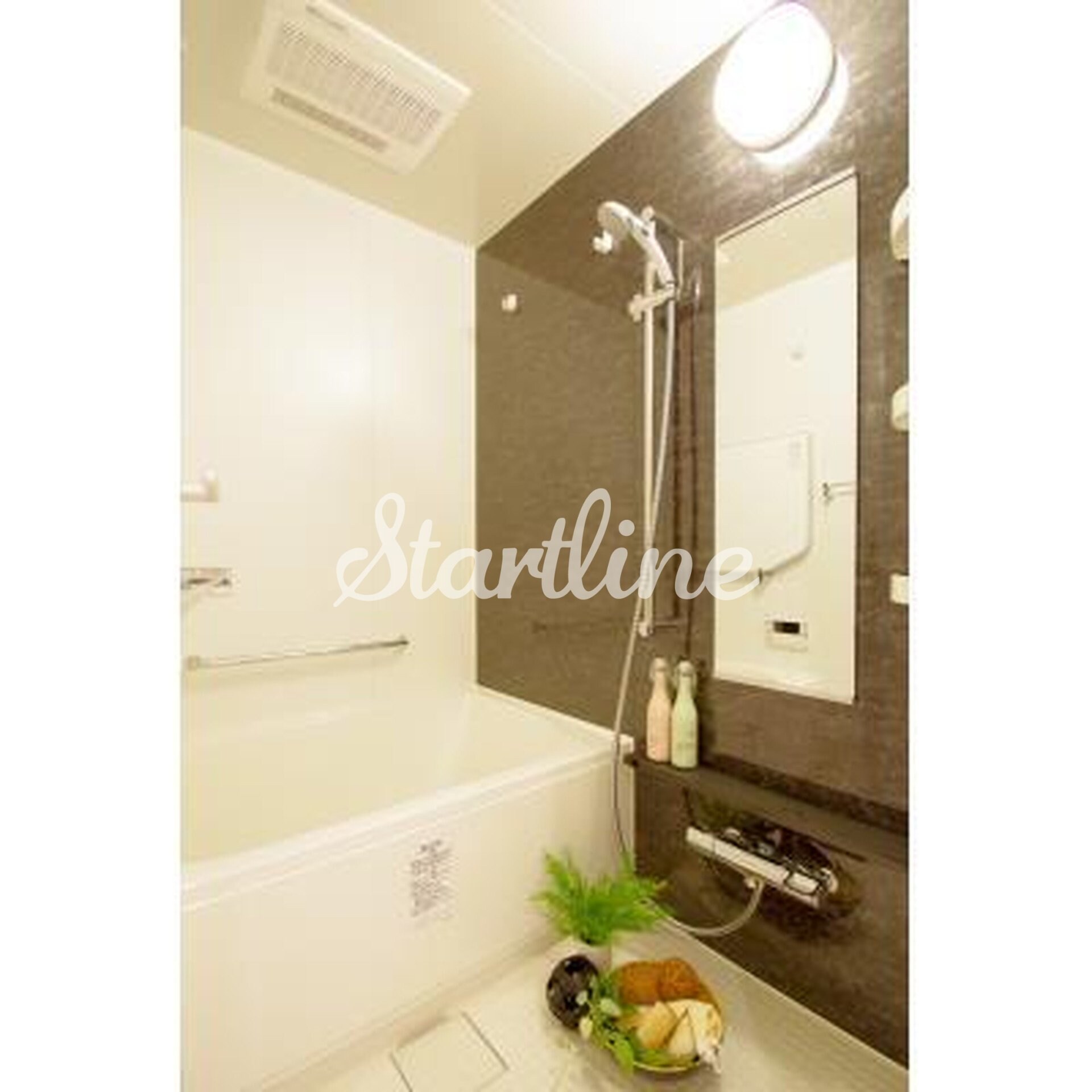 パークアクシス表参道レジデンスの物件内観写真