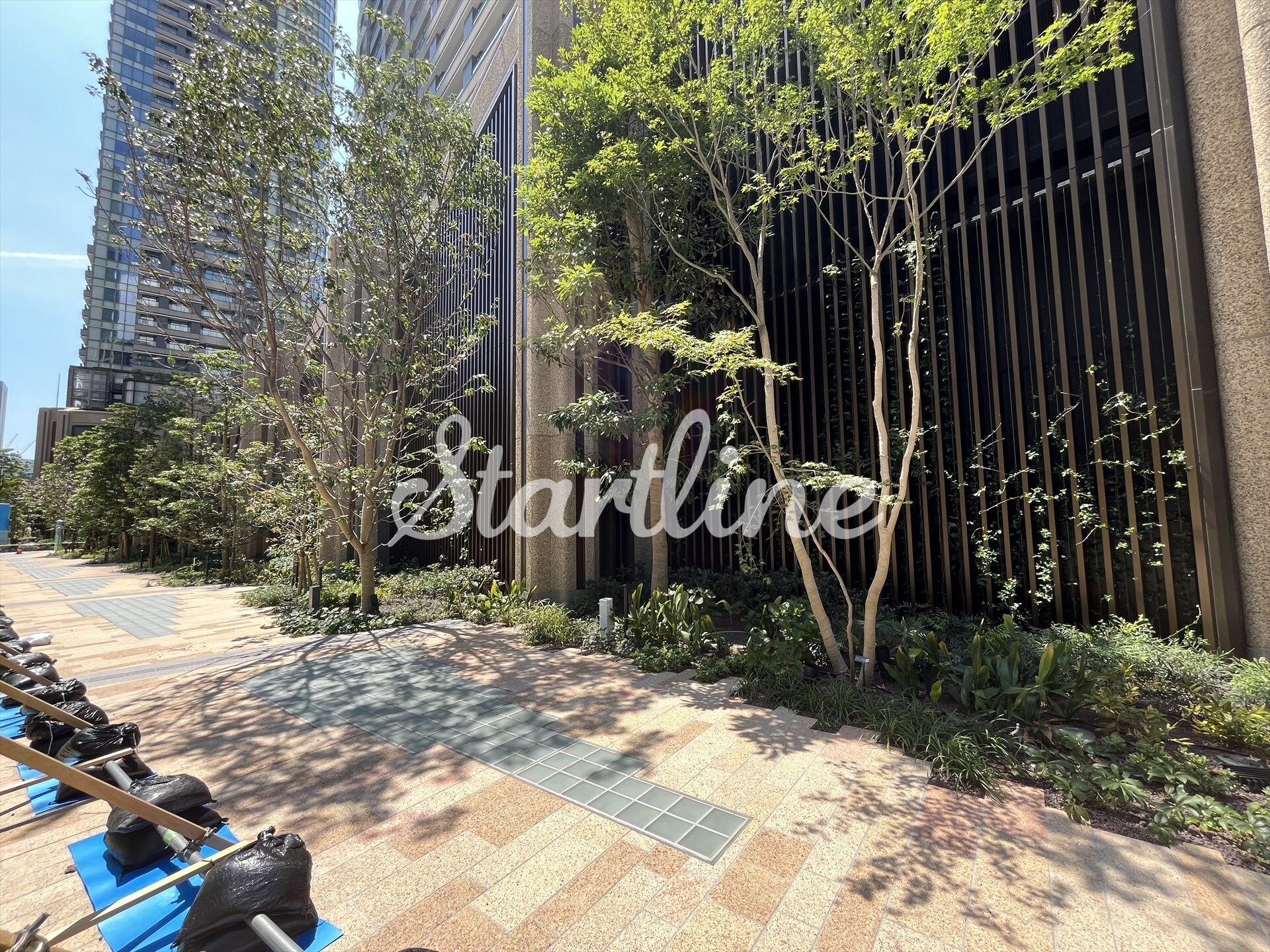 麻布台ヒルズレジデンスB棟の物件内観写真