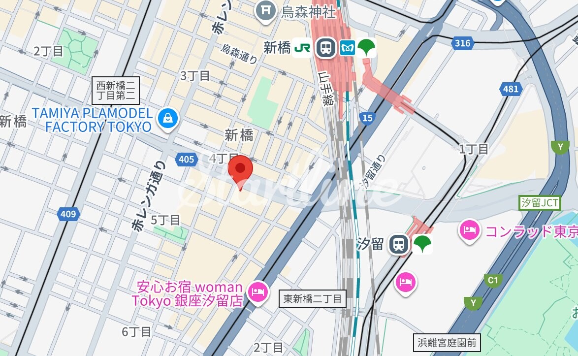 エヌズコート139レックス新橋(N'sコート139REX新橋の物件内観写真