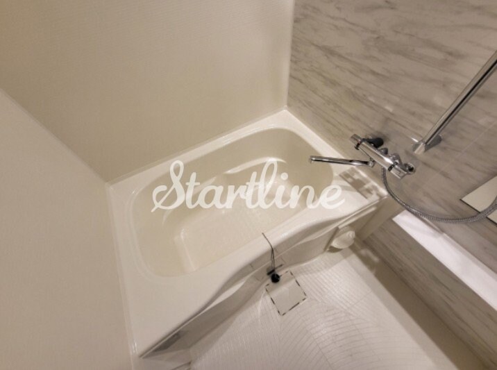 ザ・ライオンズフォーシア町屋の物件内観写真