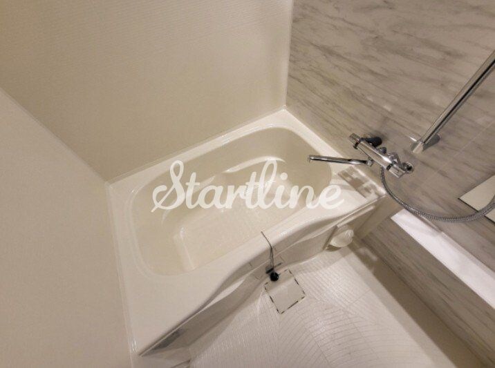 ザ・ライオンズフォーシア町屋の物件内観写真