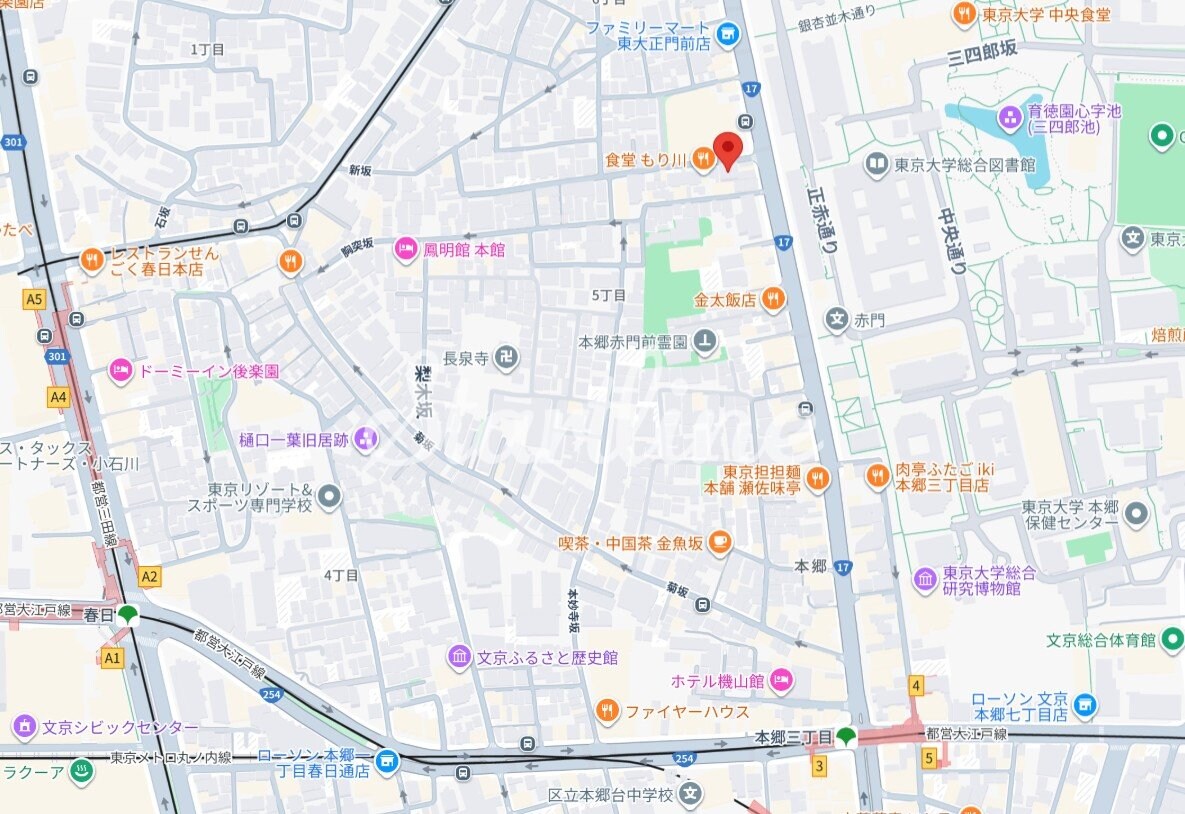 ジェノヴィア東大前グリーンヴェールの物件内観写真