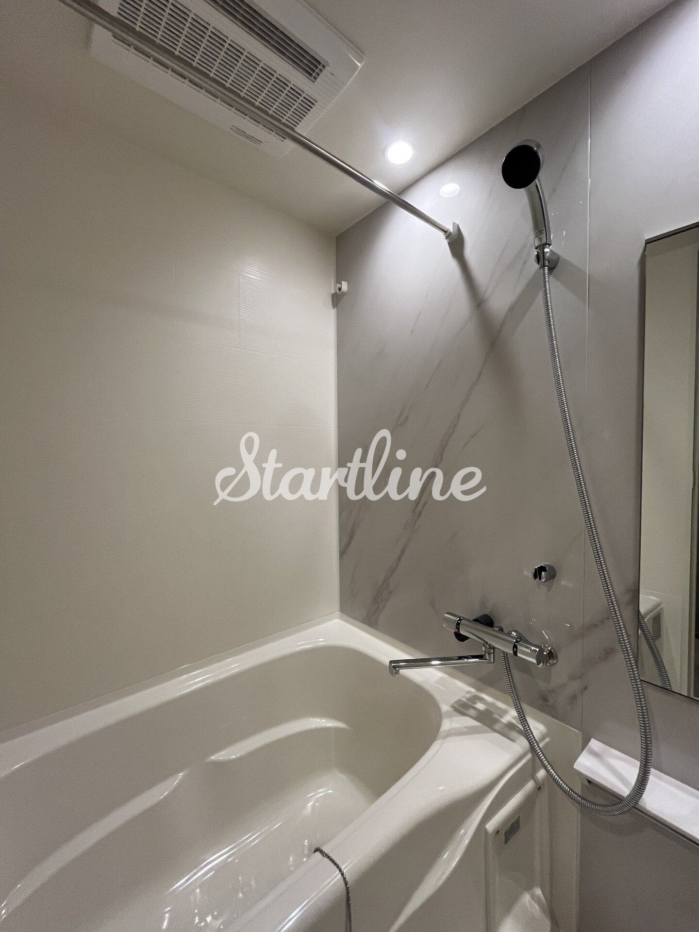 ザ・ライオンズフォーシア文京湯島の物件内観写真