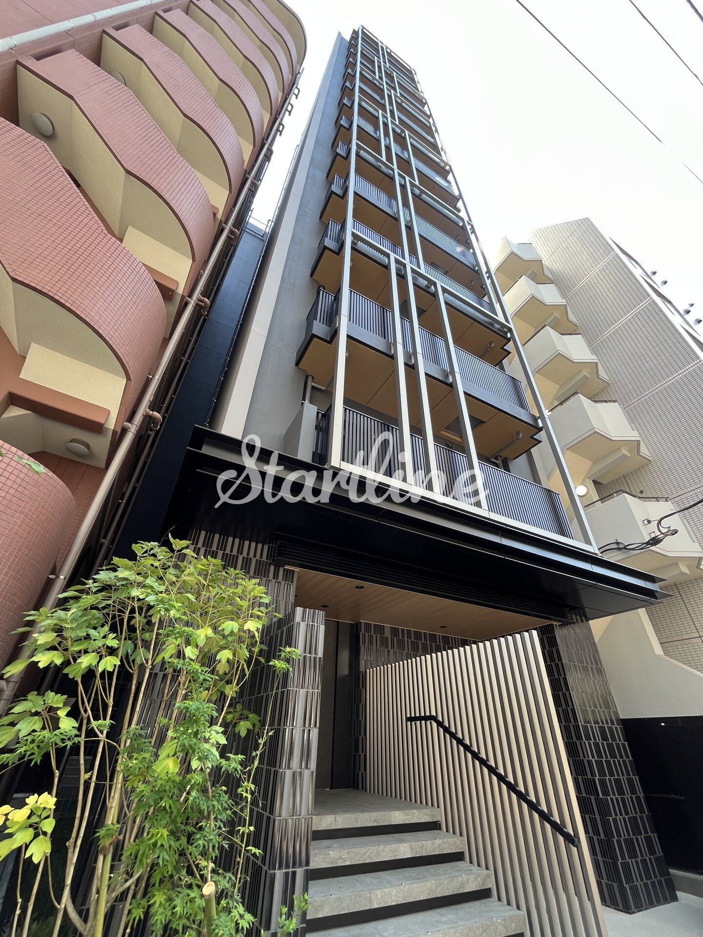 ザ・ライオンズフォーシア文京湯島の物件内観写真