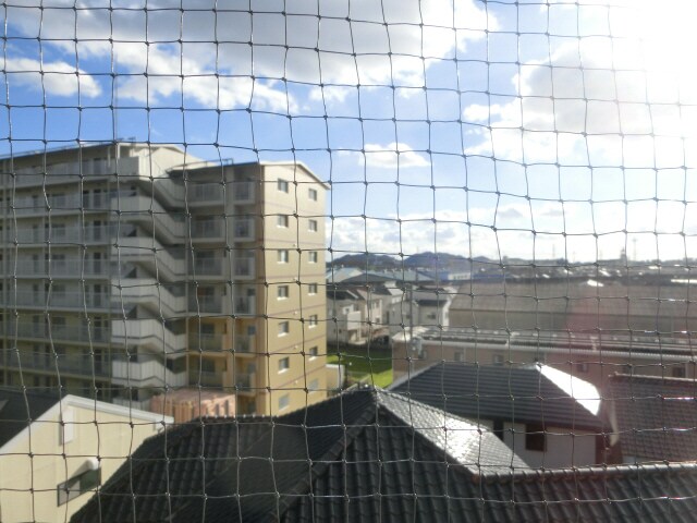 サニーパレス保城の物件内観写真