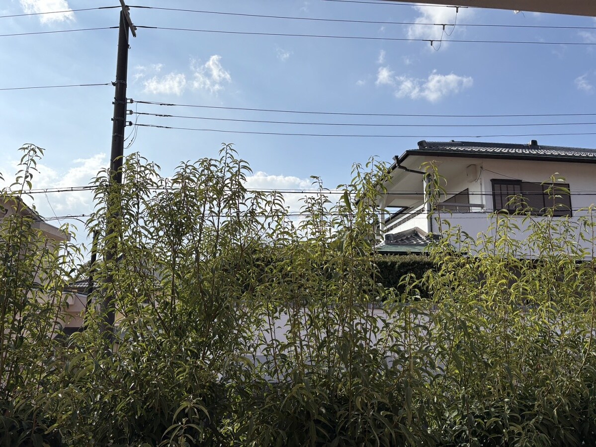 クラッセ参番館の物件内観写真