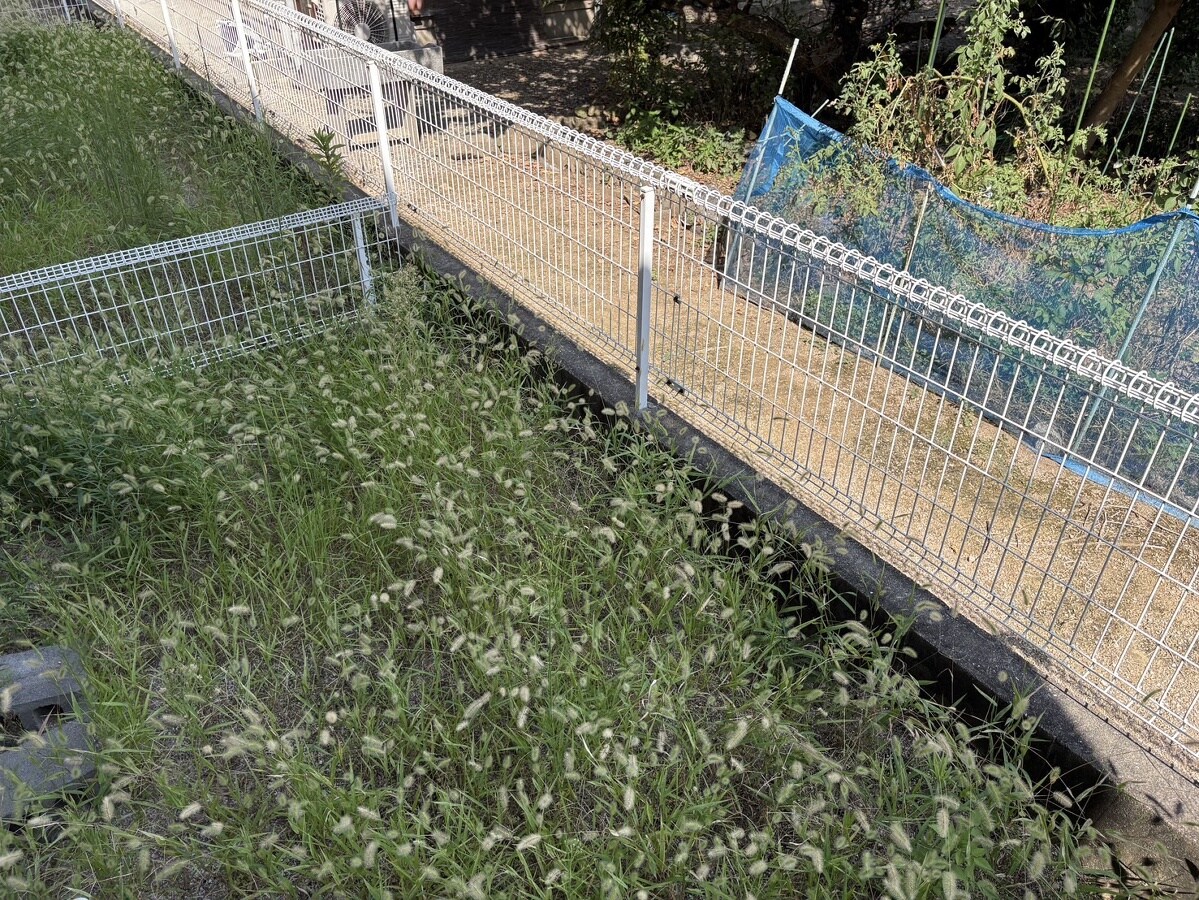 ウエストウッドの物件内観写真