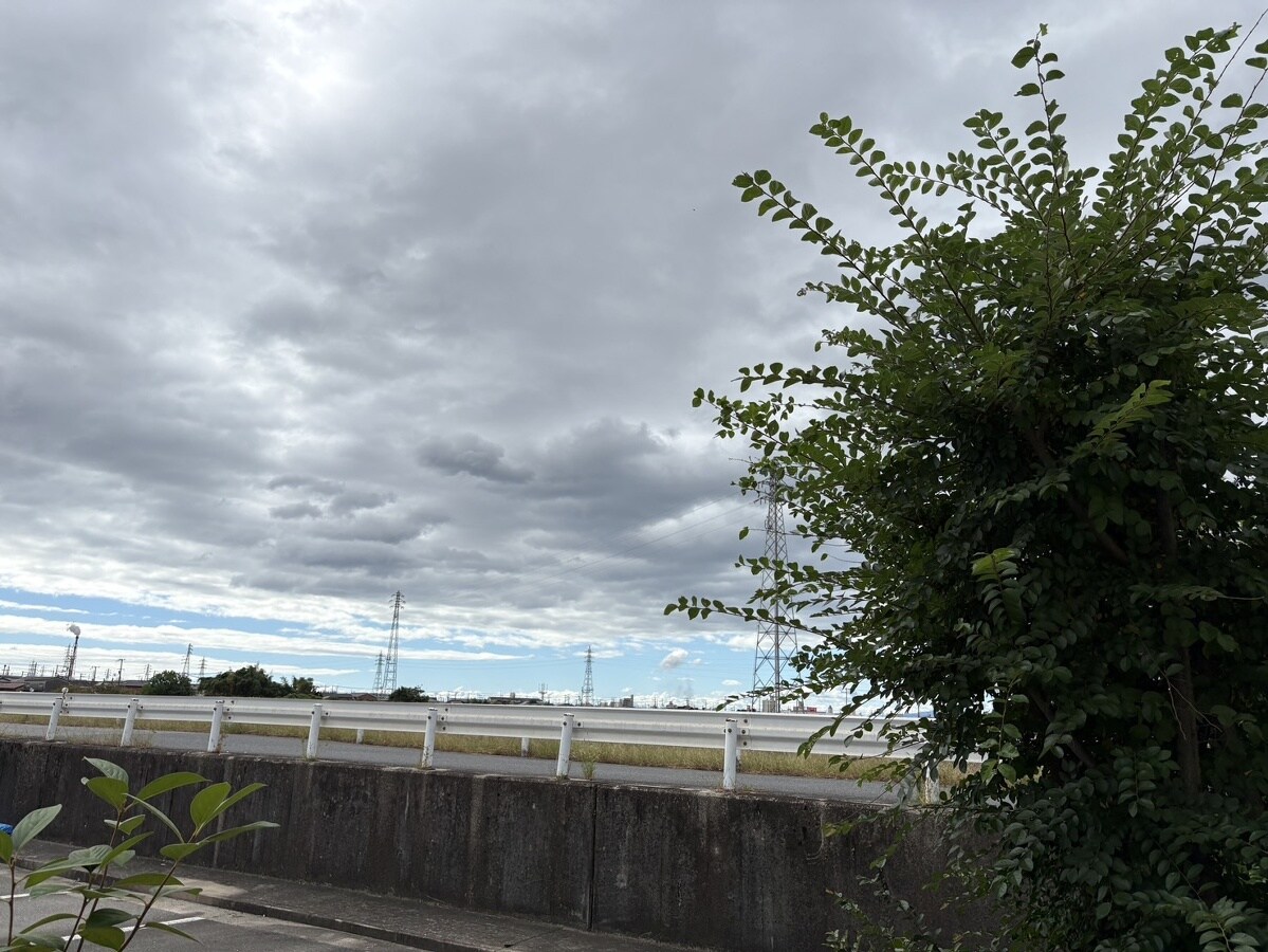 クレストヨコセキの物件内観写真