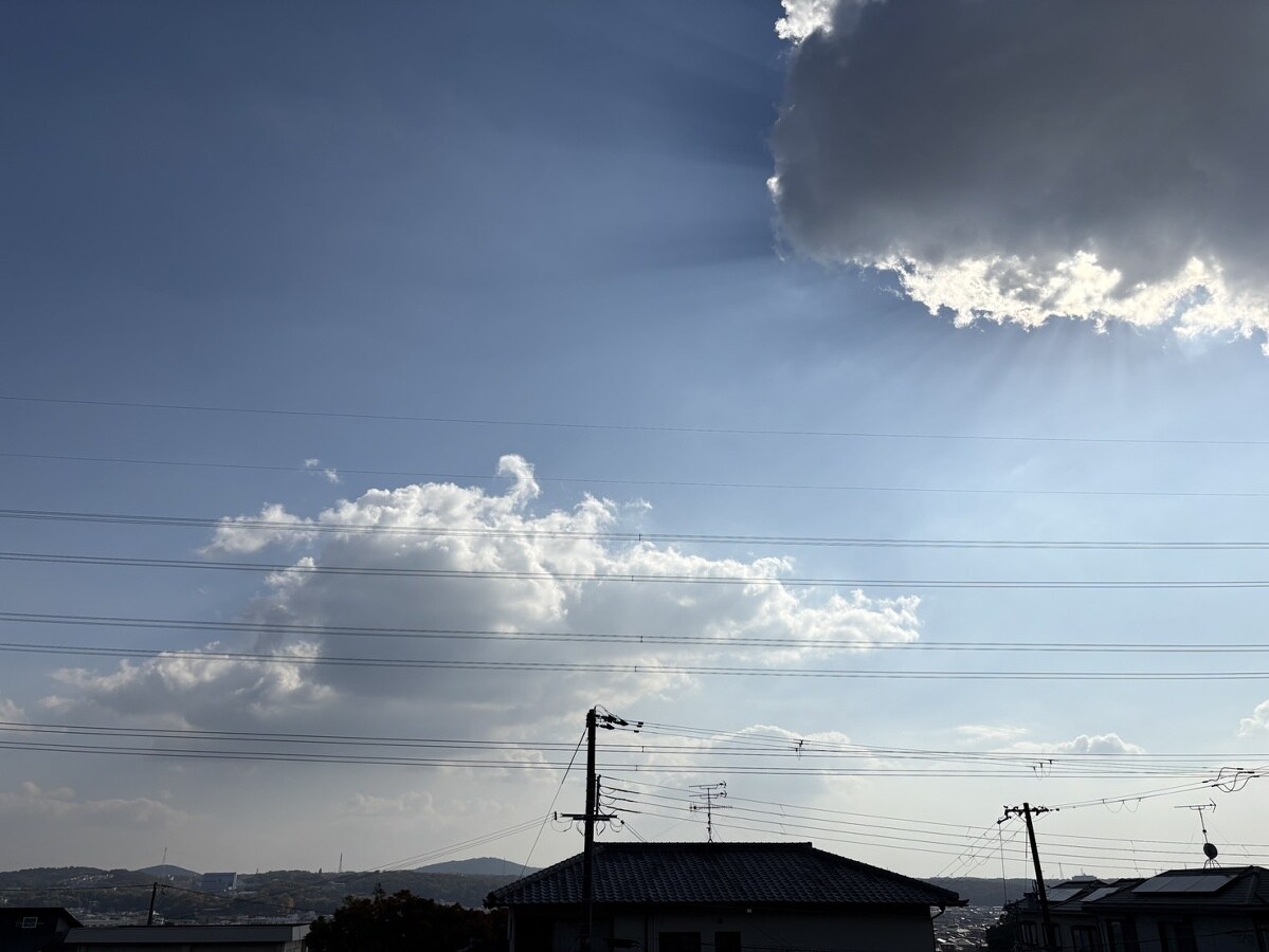 ソフィアヒルズの物件内観写真