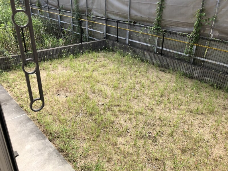 コンフォートMの物件内観写真