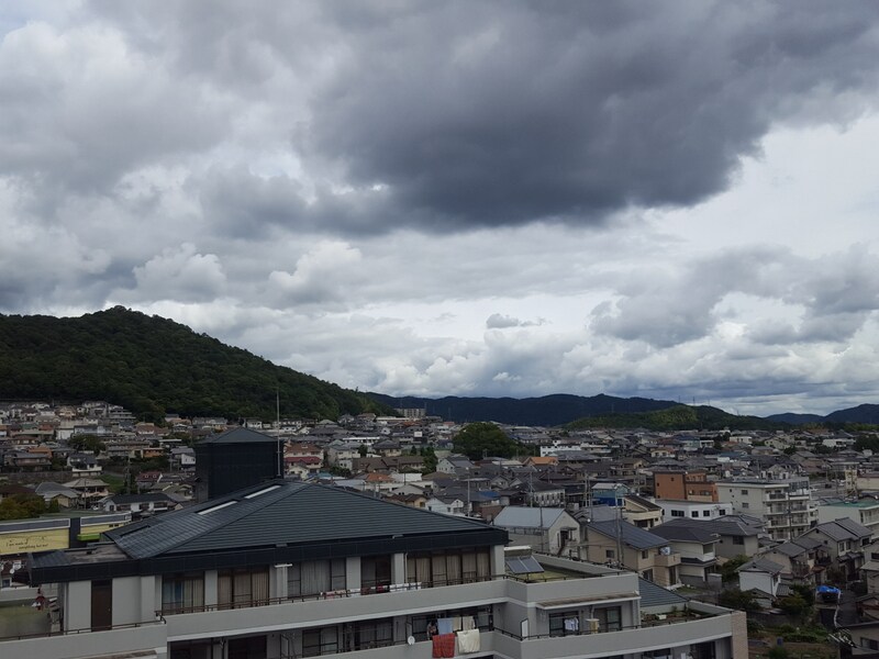 キャッスルコート東辻井の物件内観写真