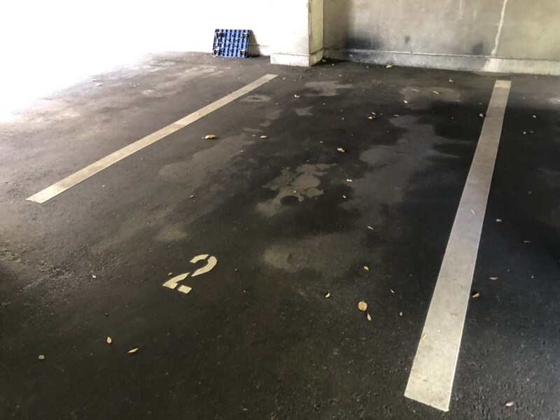 サニーパレス保城の物件外観写真