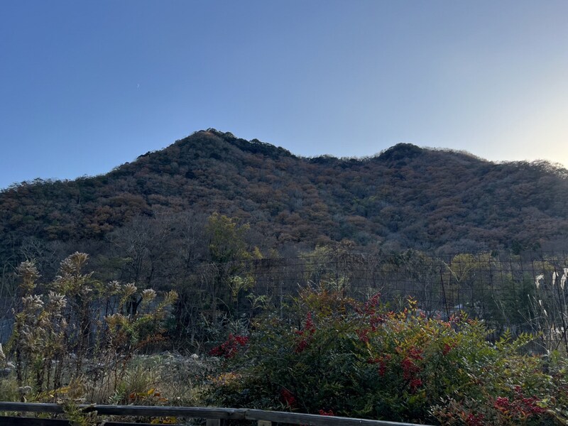 翔上郡の物件内観写真