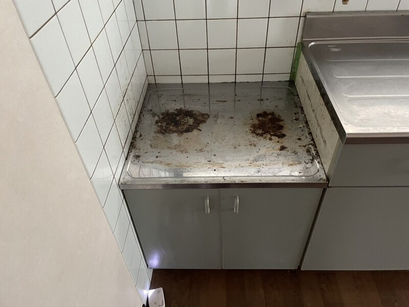 小室借家の物件内観写真