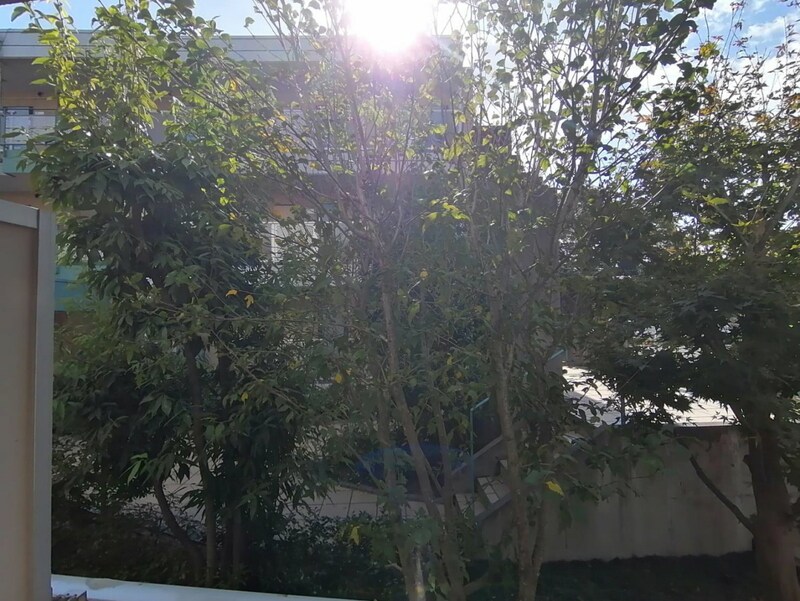 雅ガーデンハイツNの物件内観写真