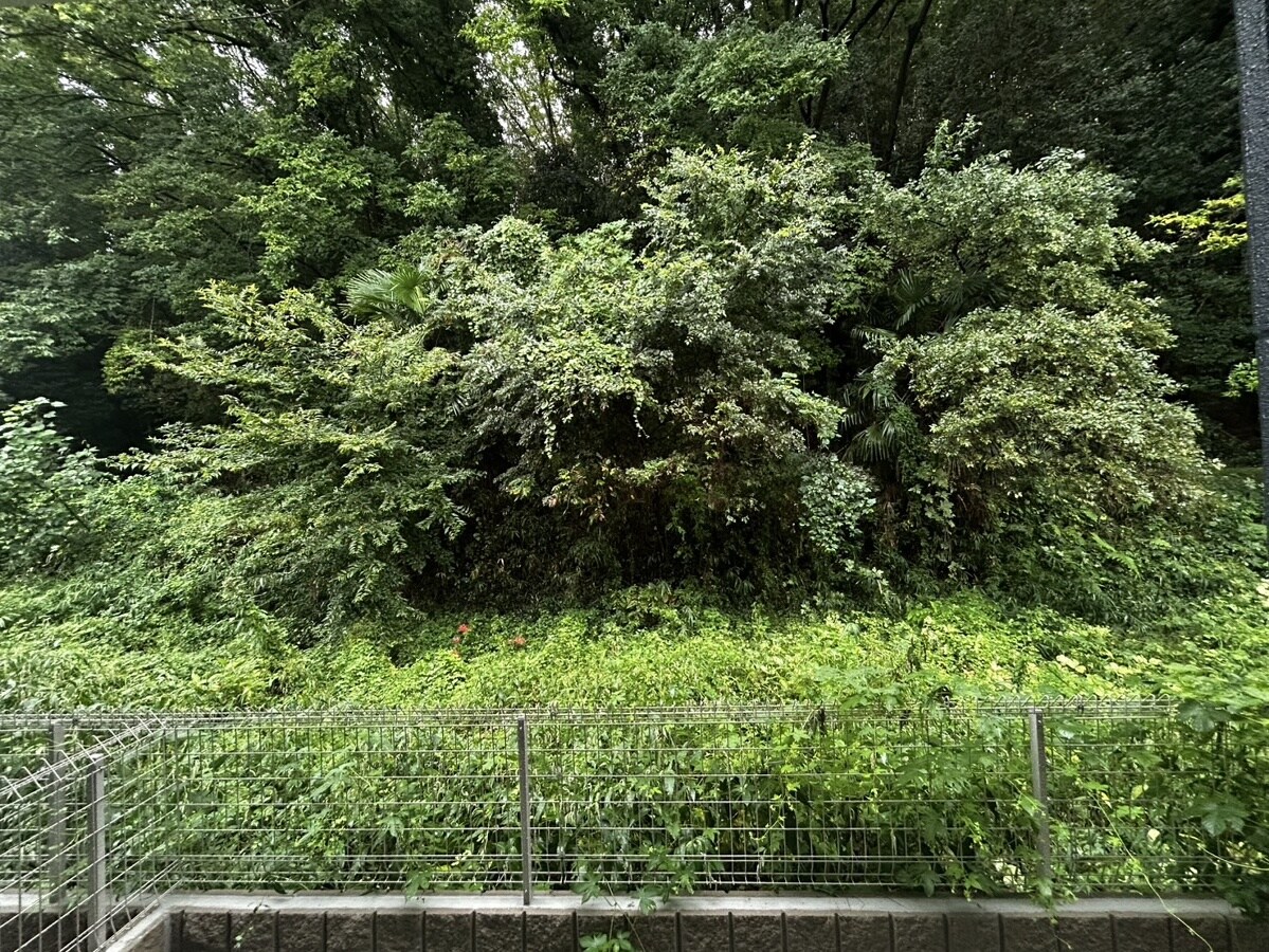 アヴェルラ・プラスの物件内観写真