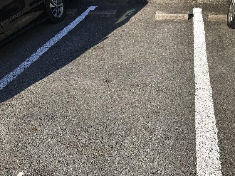 Fragrance Complet A棟の物件外観写真