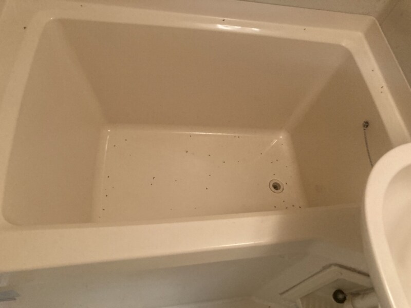 ウイング相生旭の物件内観写真