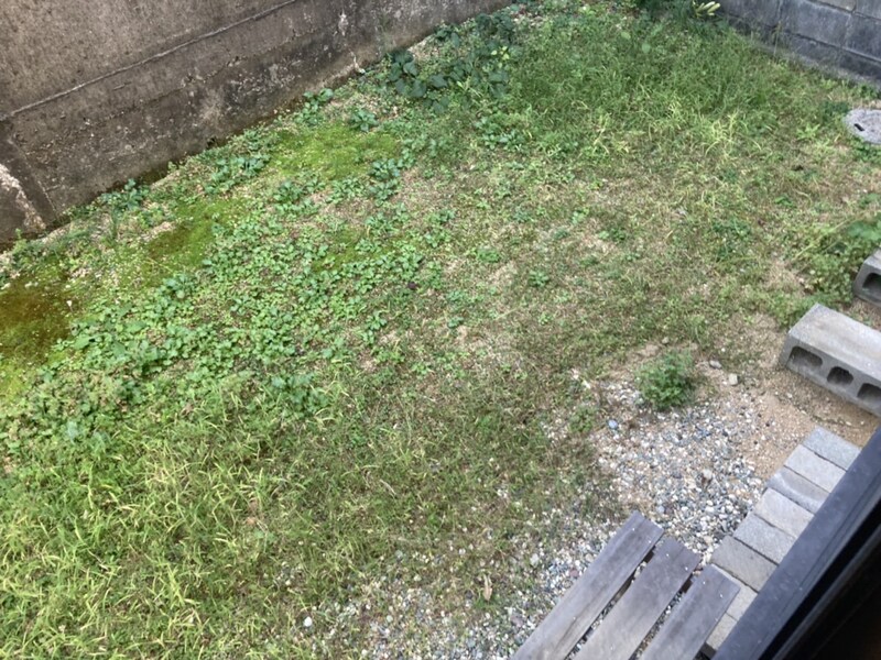 グラス・ハープの物件内観写真