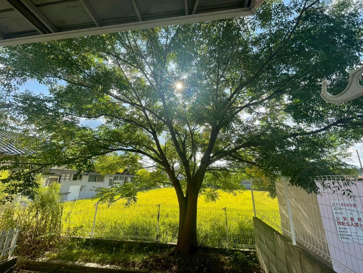 エスポワール鎌倉の物件内観写真