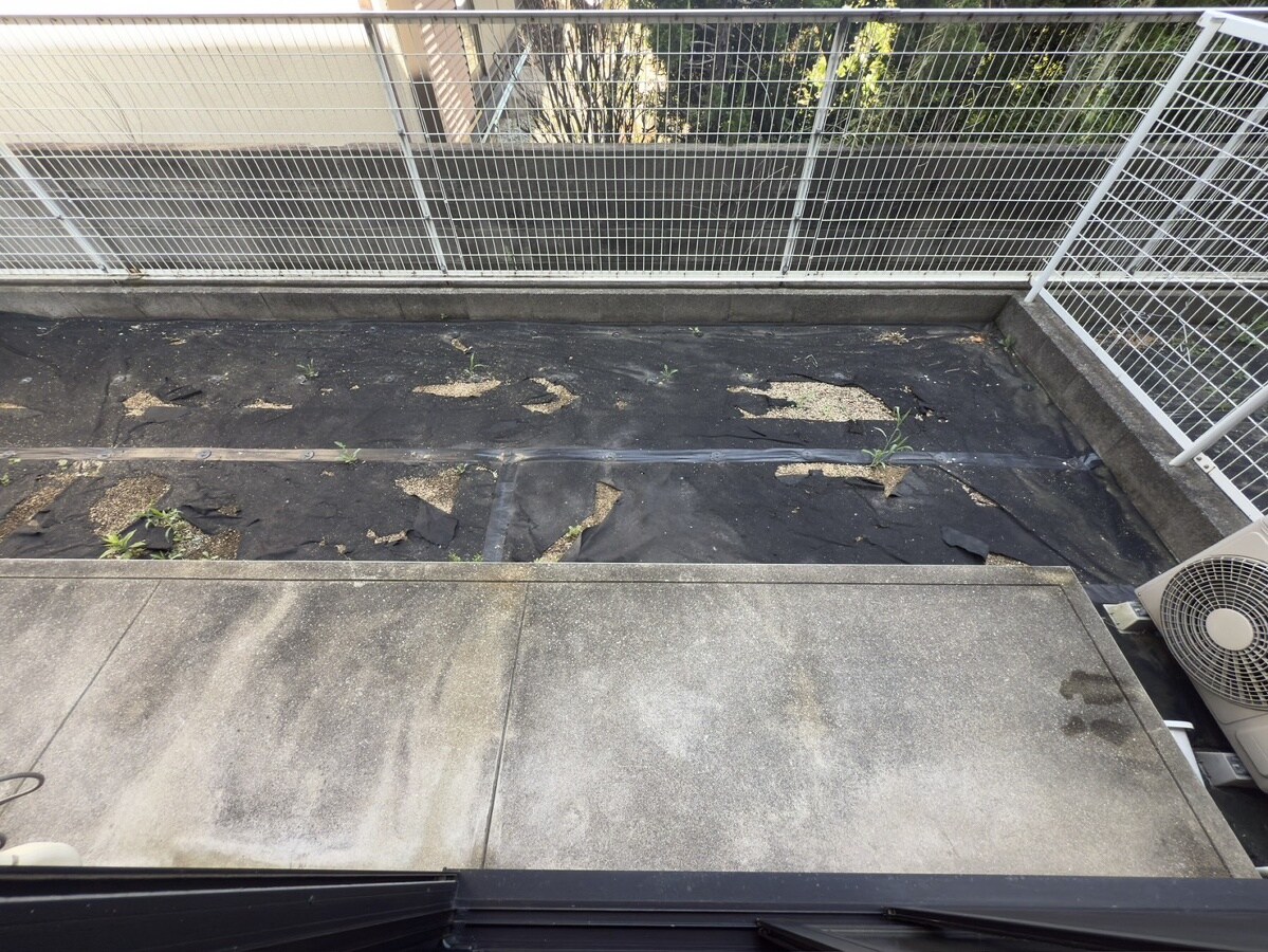 ライフピア・新町の物件内観写真