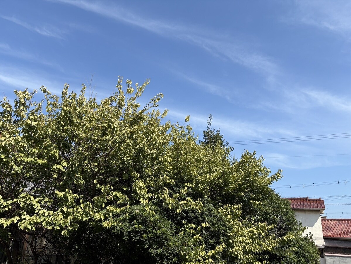 ウエストウッドの物件内観写真