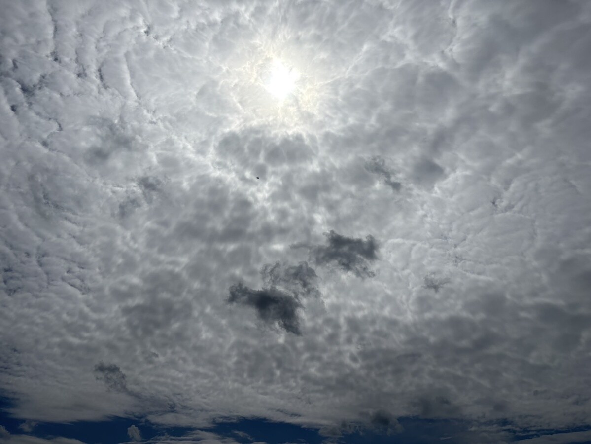 ヌーベ・ゆらのの物件内観写真