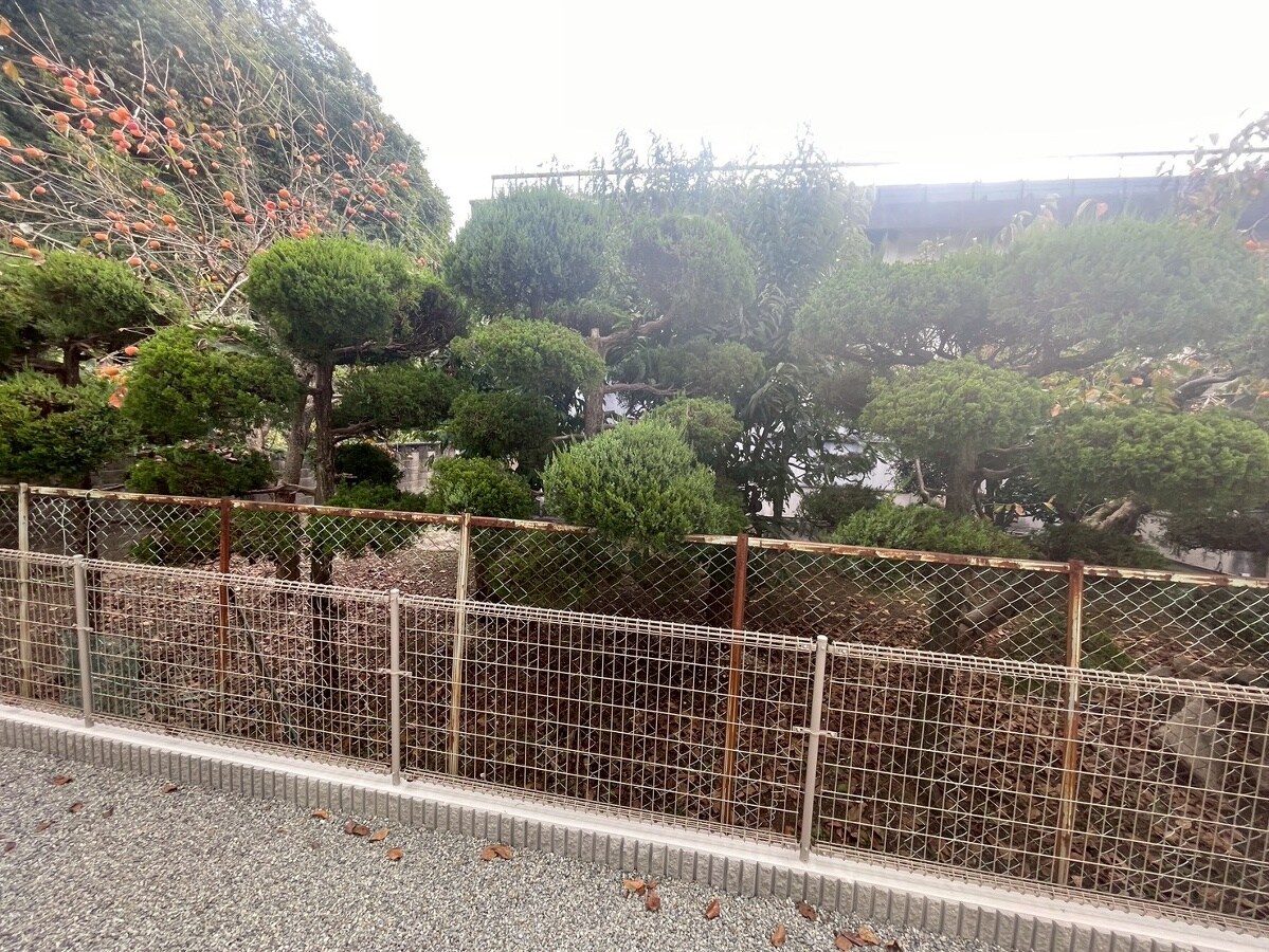 ソレイユこだまの物件内観写真