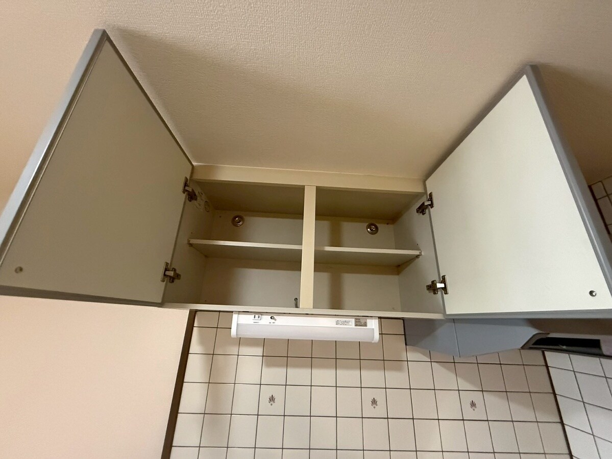 ラフィーヌ上野田の物件内観写真