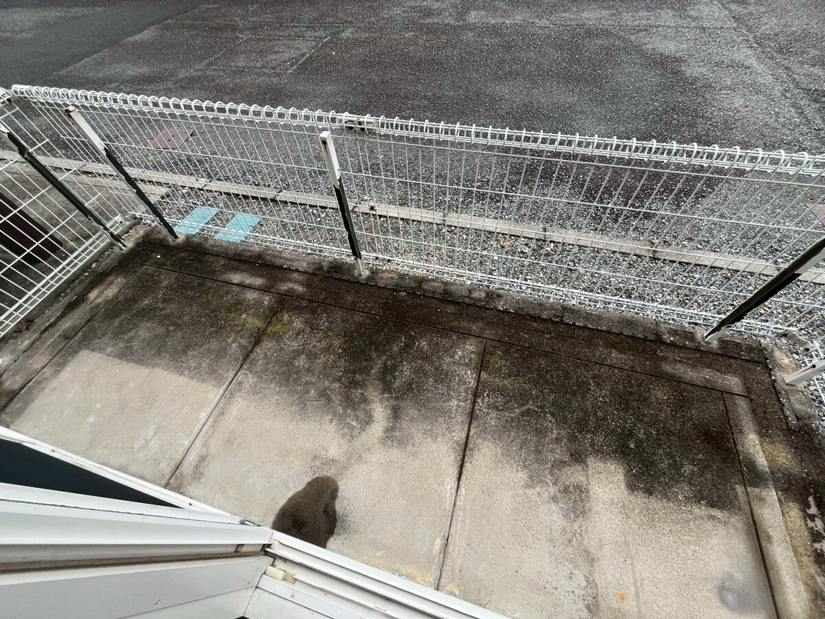 グレースヒルズシマダC・Dの物件内観写真