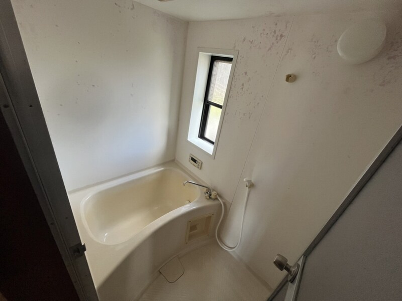 グリーンハイツ A棟の物件内観写真