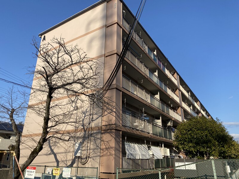 青山年ヶ森ハイツ A棟の物件外観写真