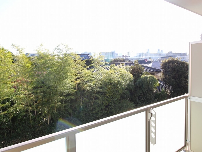 ヴェルデュール高田馬場の物件内観写真