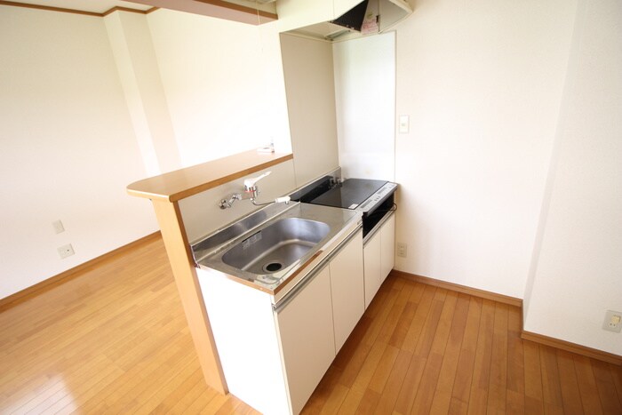 カ－サアリスの物件内観写真