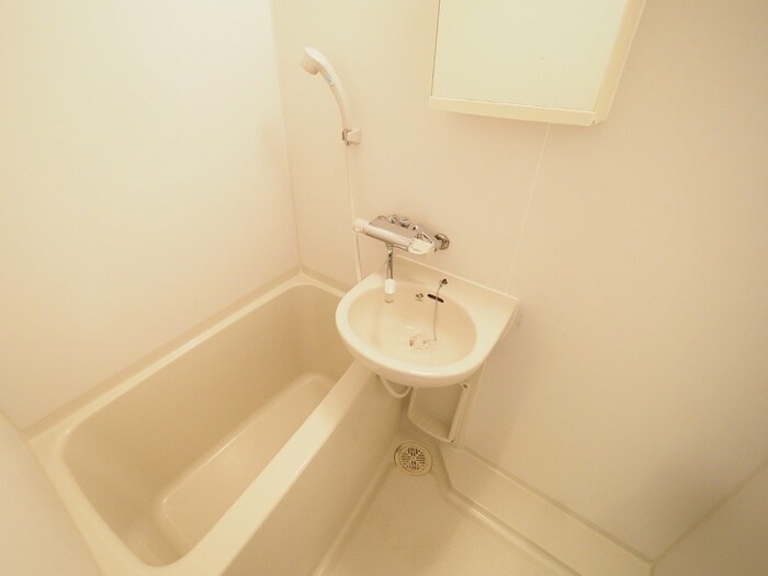 ﾌｪﾆｯｸｽ武蔵関弐番館（101）の物件内観写真